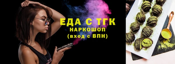 мдпв Бородино