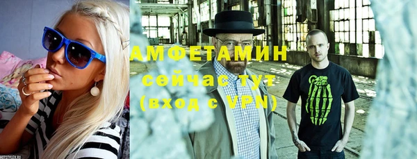 мдпв Бородино