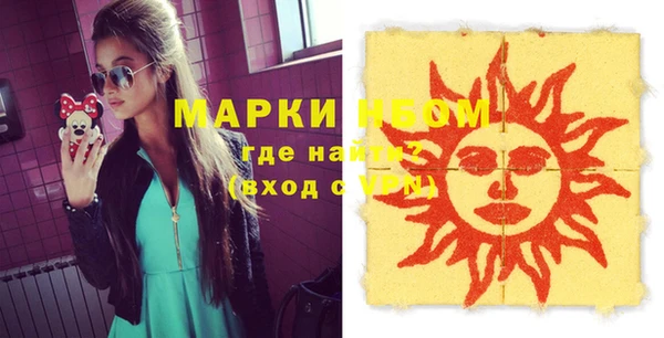 мдпв Бородино
