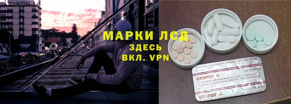 мдпв Бородино