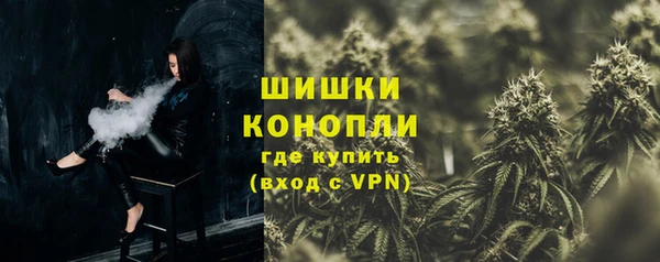 сатива Белокуриха