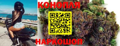 a pvp Аргун