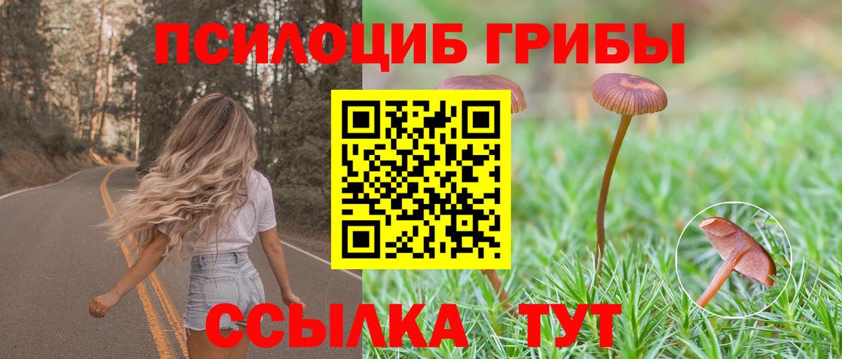 Псилоцибиновые грибы Magic Shrooms Воскресенск