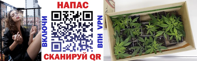 Бошки марихуана SATIVA & INDICA  гидра ссылки  Воскресенск 